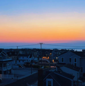 Meet your Posher, Molly